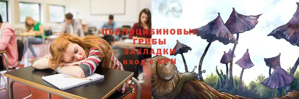 МДПВ Алзамай