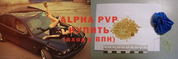 шишки Саяногорск