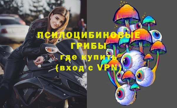 шишки Алексин