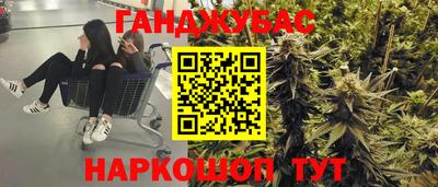 крисы Кунгур