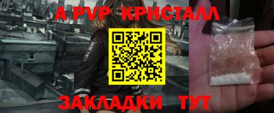 крисы Кунгур