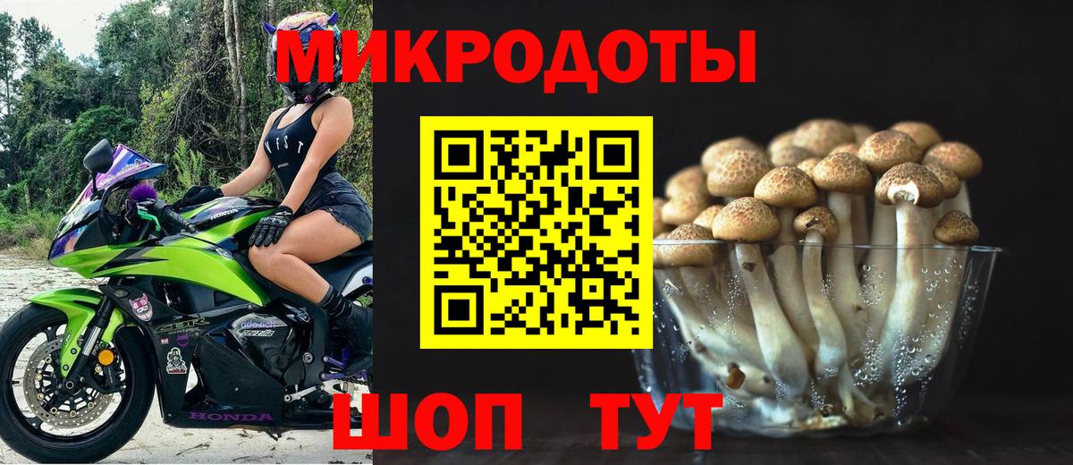 Галлюциногенные грибы Cubensis Павлово