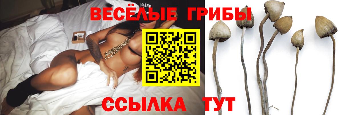 Павлово  Псилоцибиновые грибы GOLDEN TEACHER  наркотики  Галлюциногенные грибы MAGIC MUSHROOMS  Вход с VPN 
